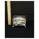 Brass & Glass Box W. Sea Urchin & Shells