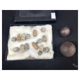 Civil War Musket Balls & Bullet Cannister Shot