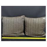 2 Down Feather Decorative Pillows