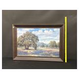 Framed Bluebonnet Signed Print 31x42