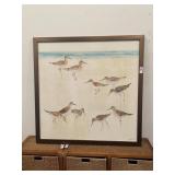 37 x 37 Framed Beach Willet