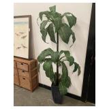 Cane Artificial Plant 70" Tall