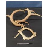 2 Sets of Antlers