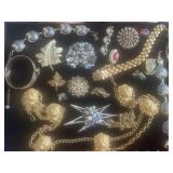 Costume Jewelry and Brooches