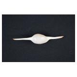 Volva Volva AKA Shttlecock Cowrie Sea Shell