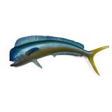 Lrg 4' Mahi Mahi Dolphin Fish Taxidermy