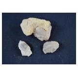 3 Paleozoic Era Cambrian Period Trilobite Fossils