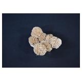 Specimen of Dessert Rose Crystal Formation