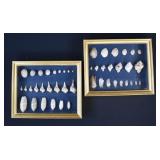 Pair Framed Assorments of Seashells