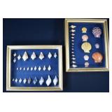 Pair Framed Assorments of Seashells