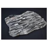 Polished MOROCCAN ORTHOCERAS Fossil Plate