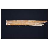 Fossilized Wooly Mammoth Tusk Specimen
