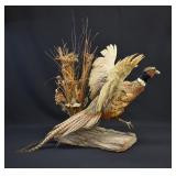 Ring Necked Pheasant Taxidermy Mount