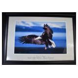 Thomas D Mangelsen INTO THE WIND - BALD EAGLE