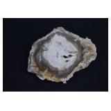 Polished Petrified Wood Slab