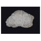 Canadian Fairy Stone AKA Goddess Stone Specimen