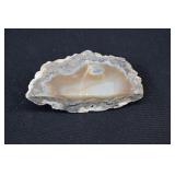 Cut Agate Nodule Slab of Geode