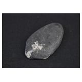 Chrysanthemum Stone Specimen