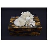 Shell & Embellished Tessellated Buffalo Horn Box