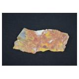 Arizona Rainbow Petrified Wood Slab
