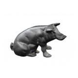 Black Cast Iron Pig Coin Bank