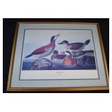 John Audubon ABBEVILLE ED Rudy Duck Plate 343