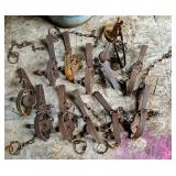 12 Victor Steel Traps with Chains