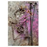 Animal Traps and Metal Stakes