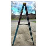 Werner Fiberglass 8-Foot Step Ladder, 250 lb Capac