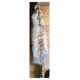 Tanned Raccoon Pelt with Tail