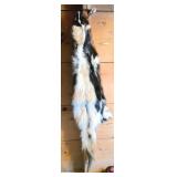 Tanned Skunk Hide with Black and White Markings