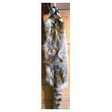 Tanned Raccoon Pelt Display Item