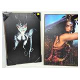 Hobby Lobby Catwoman and Wonder Woman Wall Art Set