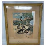 Framed Artwork of Birds by Lynn Bogue Hunt