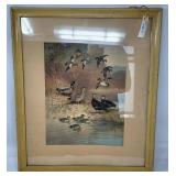 Framed Wildlife Print Depicting Ducks by Archie Hu