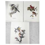 Bird Prints