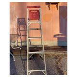6' Werner Ladder
