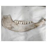 Heavy Jawbone