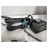Dog Collar, Leash, Poop/Treat Bag Holder, Whistle