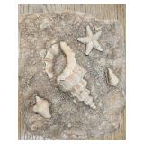Vintage Shell Design Wall Hanging.