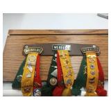 Webelos awards