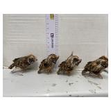 Lot Of Fake Owl Decor