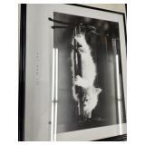 Cat Nap Framed Print