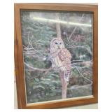 Framed Owl Print