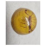 Scorpion Paperweight