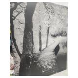 Canvas Art Print Take a Walk