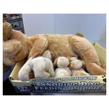 Snoring Dog Feeding Puppies