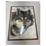Wolf Baraboo