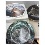 Wild Cat Plates