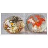 (2) Glass Paperweights - No Brand